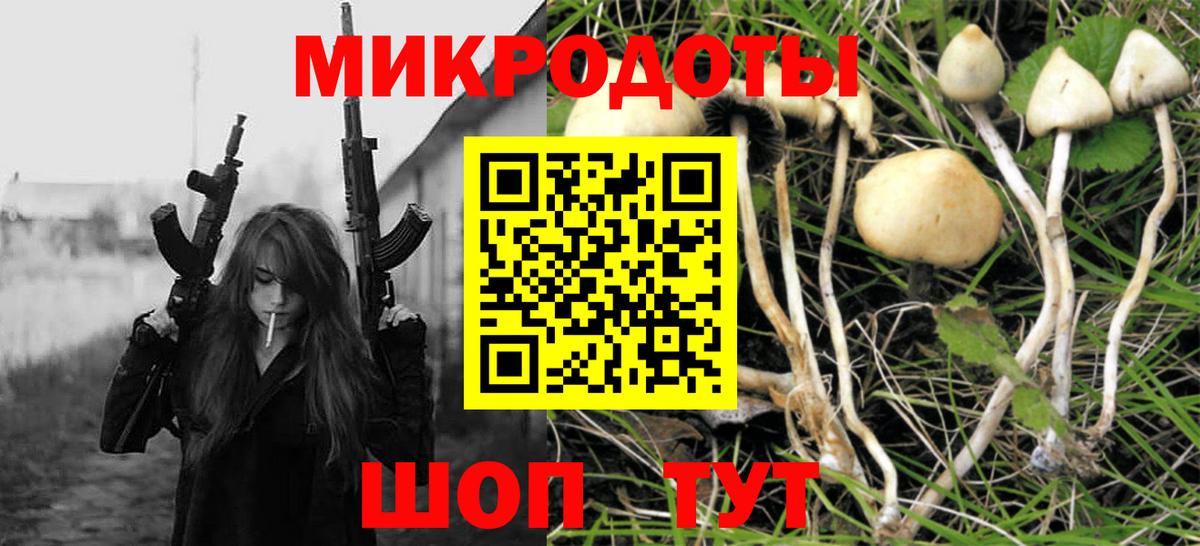 Галлюциногенные грибы Psilocybine cubensis Лангепас