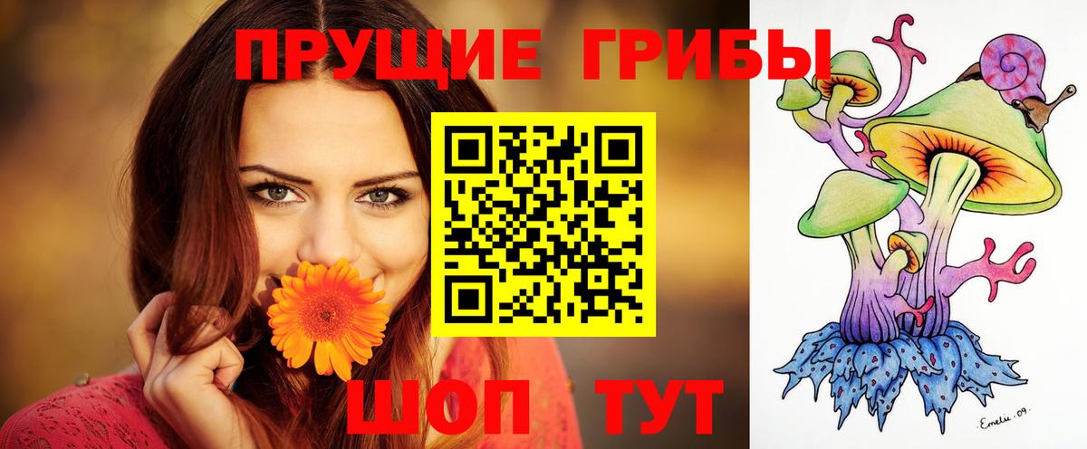 Лангепас  Галлюциногенные грибы прущие грибы  цены наркотик  Вход с VPN  Псилоцибиновые грибы Psilocybe 